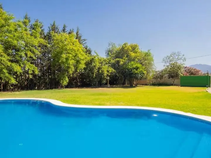 Villa Garden Málaga